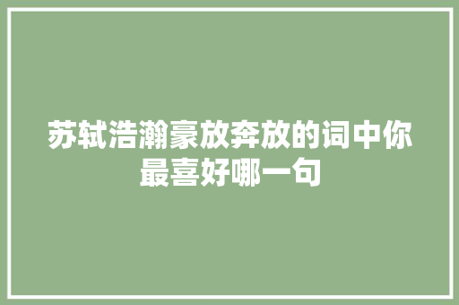 苏轼浩瀚豪放奔放的词中你最喜好哪一句
