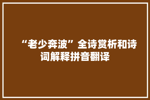 “老少奔波”全诗赏析和诗词解释拼音翻译