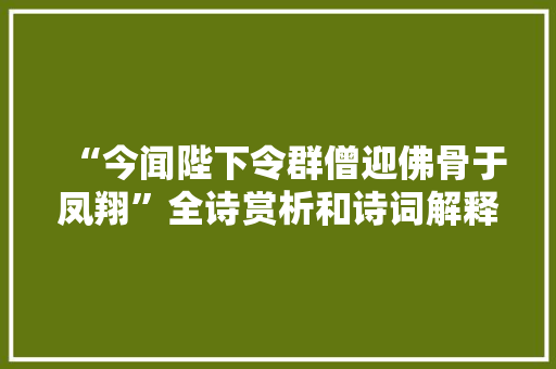 “今闻陛下令群僧迎佛骨于凤翔”全诗赏析和诗词解释拼音翻译