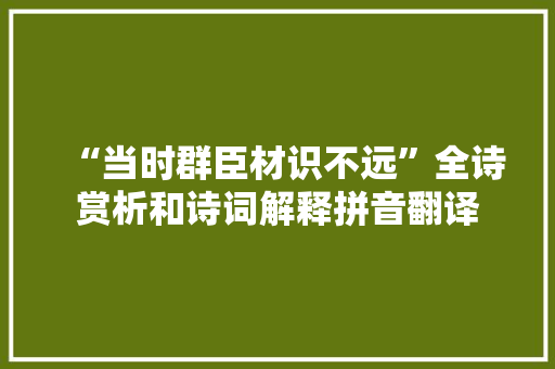 “当时群臣材识不远”全诗赏析和诗词解释拼音翻译