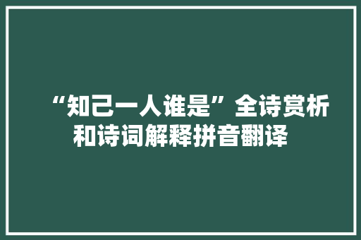 “知己一人谁是”全诗赏析和诗词解释拼音翻译
