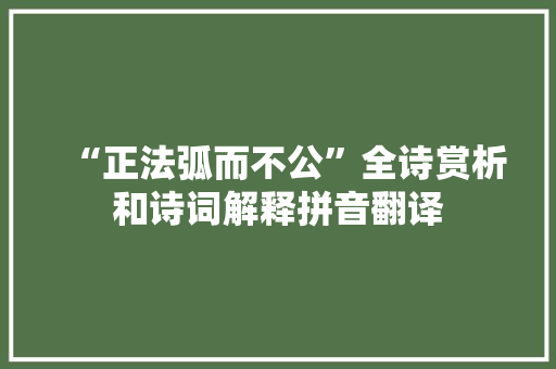 “正法弧而不公”全诗赏析和诗词解释拼音翻译