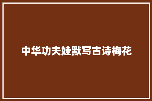 中华功夫娃默写古诗梅花