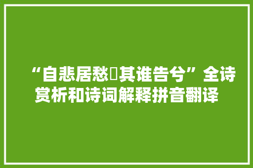 “自悲居愁懃其谁告兮”全诗赏析和诗词解释拼音翻译