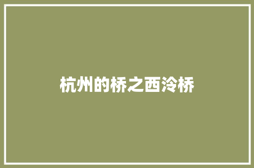 杭州的桥之西泠桥