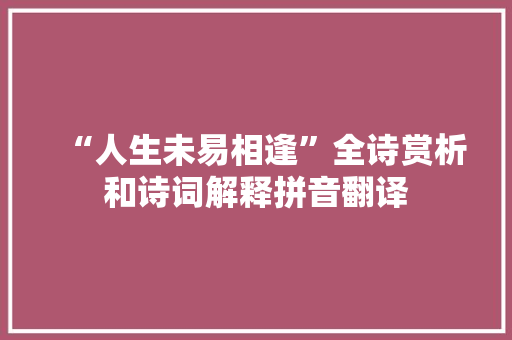 “人生未易相逢”全诗赏析和诗词解释拼音翻译