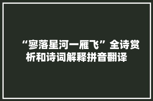 “寥落星河一雁飞”全诗赏析和诗词解释拼音翻译