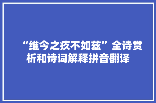 “维今之疚不如兹”全诗赏析和诗词解释拼音翻译