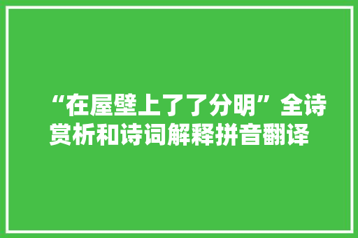 “在屋壁上了了分明”全诗赏析和诗词解释拼音翻译
