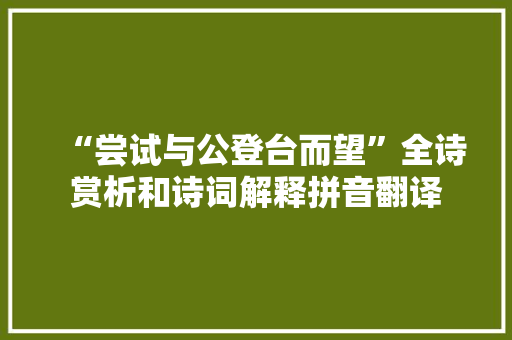 “尝试与公登台而望”全诗赏析和诗词解释拼音翻译