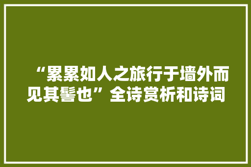 “累累如人之旅行于墙外而见其髻也”全诗赏析和诗词解释拼音翻译