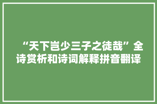 “天下岂少三子之徒哉”全诗赏析和诗词解释拼音翻译