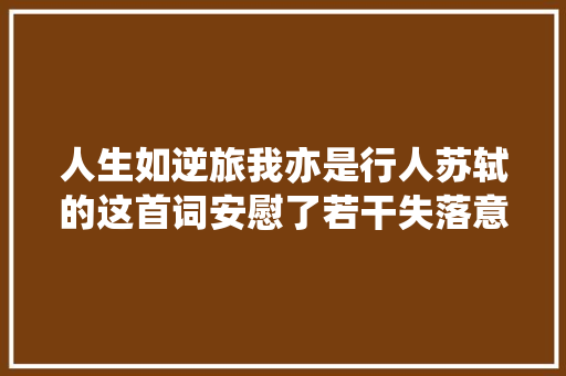人生如逆旅我亦是行人苏轼的这首词安慰了若干失落意之人