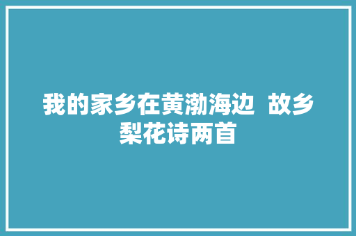 我的家乡在黄渤海边  故乡梨花诗两首