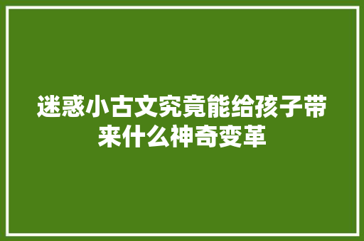 迷惑小古文究竟能给孩子带来什么神奇变革 迷惑小古文究竟能给孩子带来什么神奇变革
