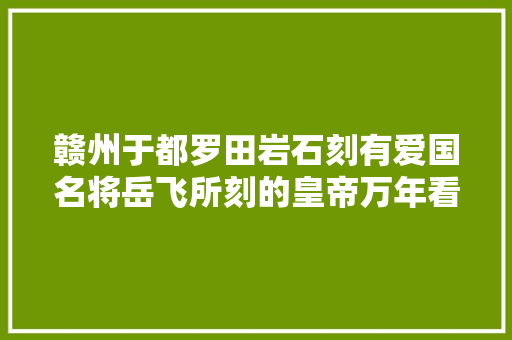 赣州于都罗田岩石刻有爱国名将岳飞所刻的皇帝万年看啥样