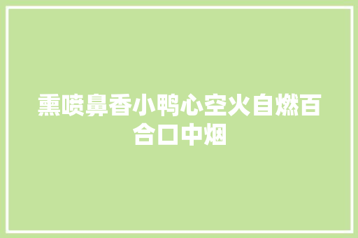 熏喷鼻香小鸭心空火自燃百合口中烟