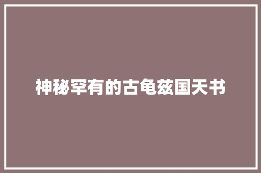 神秘罕有的古龟兹国天书