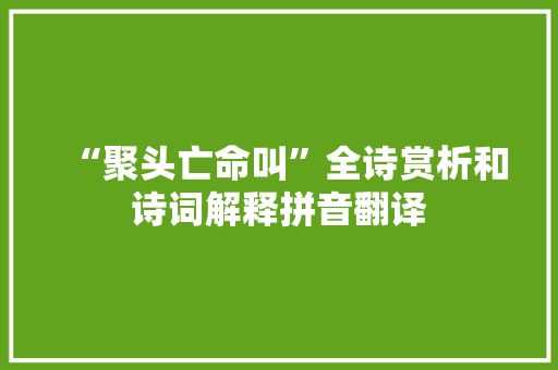 “聚头亡命叫”全诗赏析和诗词解释拼音翻译