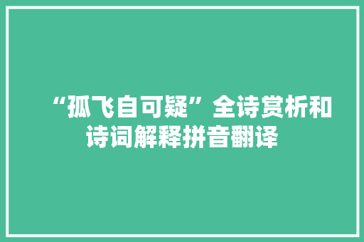 “孤飞自可疑”全诗赏析和诗词解释拼音翻译