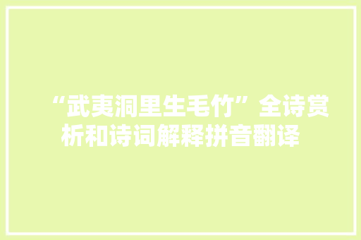 “武夷洞里生毛竹”全诗赏析和诗词解释拼音翻译