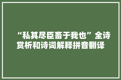 “私其尽臣畜于我也”全诗赏析和诗词解释拼音翻译