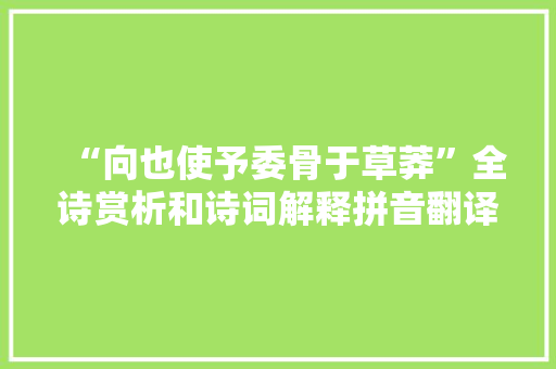 “向也使予委骨于草莽”全诗赏析和诗词解释拼音翻译