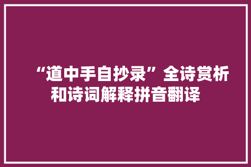 “道中手自抄录”全诗赏析和诗词解释拼音翻译