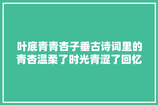 叶底青青杏子垂古诗词里的青杏温柔了时光青涩了回忆