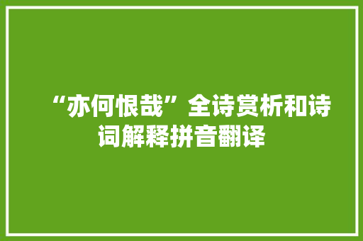 “亦何恨哉”全诗赏析和诗词解释拼音翻译