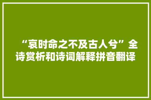 “哀时命之不及古人兮”全诗赏析和诗词解释拼音翻译
