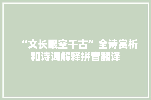 “文长眼空千古”全诗赏析和诗词解释拼音翻译