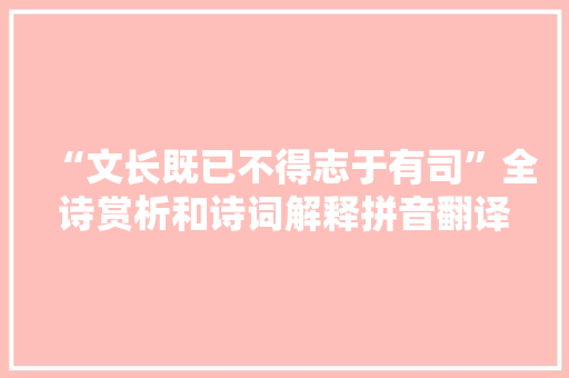 “文长既已不得志于有司”全诗赏析和诗词解释拼音翻译