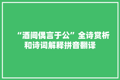“酒间偶言于公”全诗赏析和诗词解释拼音翻译