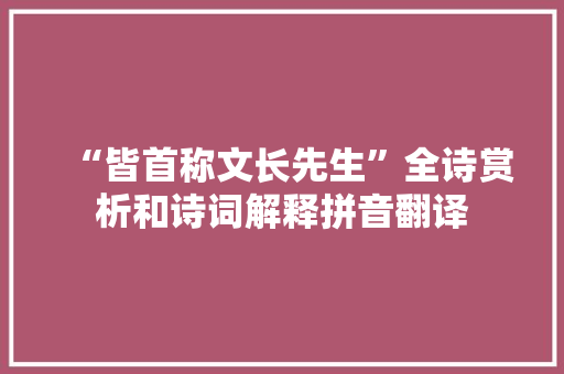 “皆首称文长先生”全诗赏析和诗词解释拼音翻译