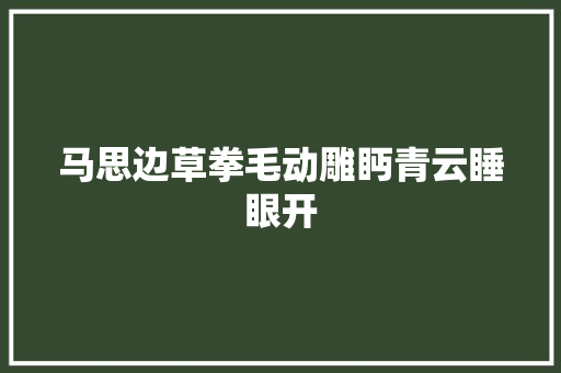 马思边草拳毛动雕眄青云睡眼开