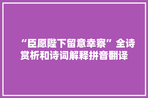 “臣愿陛下留意幸察”全诗赏析和诗词解释拼音翻译