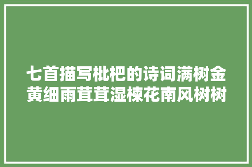 七首描写枇杷的诗词满树金黄细雨茸茸湿楝花南风树树熟枇杷