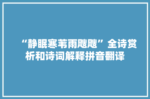 “静眠寒苇雨飕飕”全诗赏析和诗词解释拼音翻译