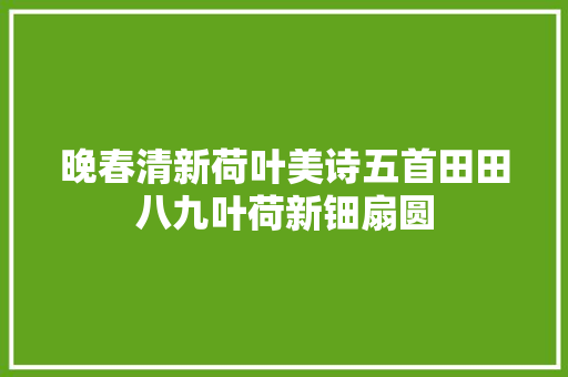 晚春清新荷叶美诗五首田田八九叶荷新钿扇圆