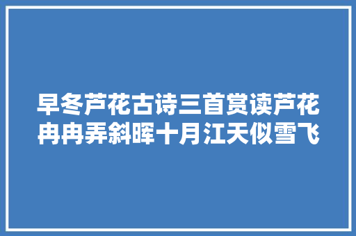 早冬芦花古诗三首赏读芦花冉冉弄斜晖十月江天似雪飞