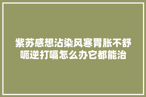 紫苏感想沾染风寒胃胀不舒呃逆打嗝怎么办它都能治