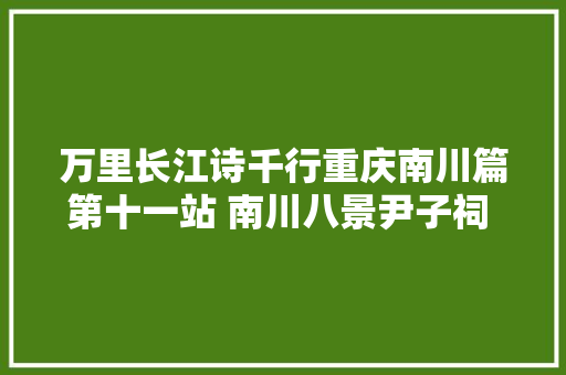 万里长江诗千行重庆南川篇第十一站 南川八景尹子祠 巴蜀第一金佛山