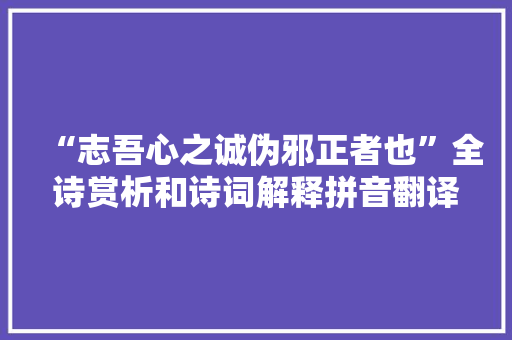 “志吾心之诚伪邪正者也”全诗赏析和诗词解释拼音翻译