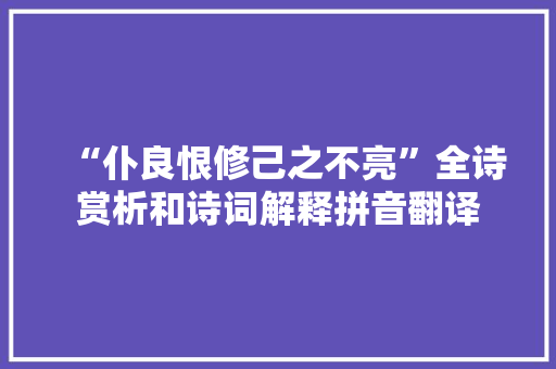 “仆良恨修己之不亮”全诗赏析和诗词解释拼音翻译