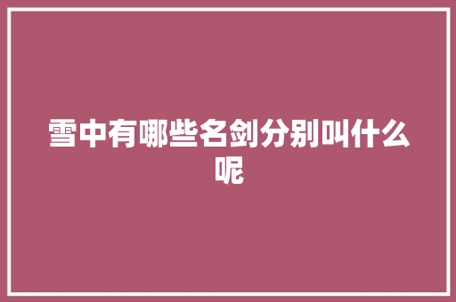 雪中有哪些名剑分别叫什么呢