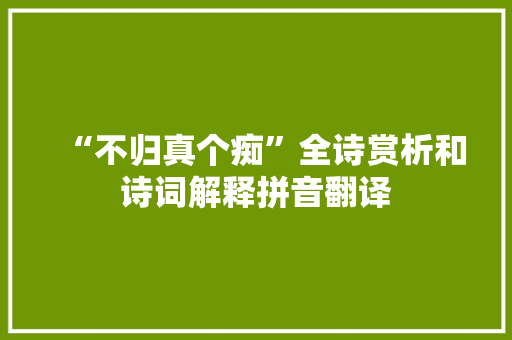 “不归真个痴”全诗赏析和诗词解释拼音翻译