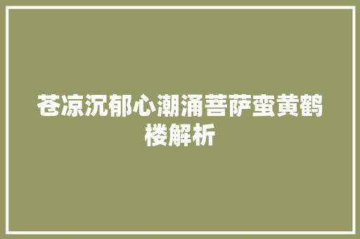 苍凉沉郁心潮涌菩萨蛮黄鹤楼解析