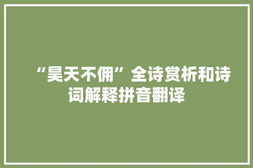 “昊天不佣”全诗赏析和诗词解释拼音翻译