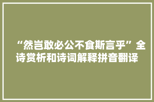 “然岂敢必公不食斯言乎”全诗赏析和诗词解释拼音翻译
